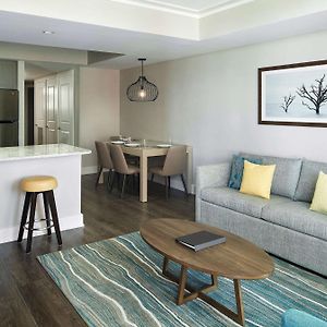 One-Bedroom King Suite Sofa Bed